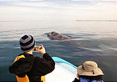 Laguna San Ignacio - Whale Watching - Geoff in Boat (Photo by Laura)