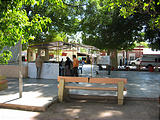 San Ignacio - Main Square - Voting