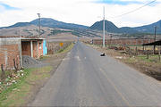 Road, Dog Sleeping on Street