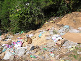 Trash Dumped by Side of Road with Dog Picking Over It