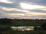 Mexico 2005 - 1112 0303 Coast West of Tuxpan - Morning Sun - Wetlands