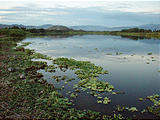 Walking to Melaque - Lagoon