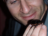 Yotatiro - Geoff, Giant Beetle (photo by Brian)