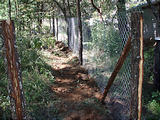 Rancho Madroño - New Dog Fence Pen (photo by Lars)