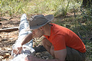 Rancho Madroño - Using Totem Pole for Papier Mache Template - Geoff (photo by Brian)
