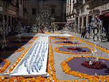 Morelia - Flowers (photo by Lars)