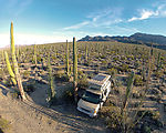 Baja - Aerial - Cactus Forest - Sportsmobile