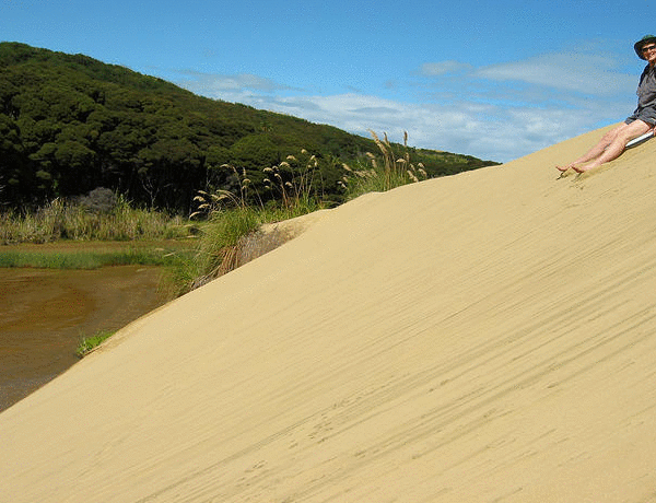 Dunes - Sand Sledding