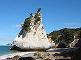 Coromandel - Cathedral Beach - Rock