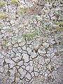 Ochoco National Forest - Oregon - Dry Mud - Campsite