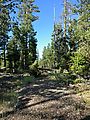 Ochoco National Forest - Oregon - Campsite - Road Blocked by Trees