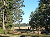 Ochoco National Forest - Oregon - Campsite