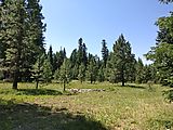 Malheur National Forest - Oregon - Campsite - Belshaw Meadows