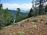Malheur National Forest - Oregon - View - Rocky