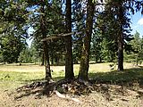 Malheur National Forest - Oregon - Campsite
