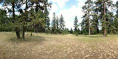 Malheur National Forest - Oregon - Campsite