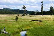 Malheur National Forest - Oregon - Clark Meadows - South Fork Long Cree
