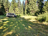 Umatilla National Forest - Oregon - Campsite