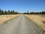 Umatilla National Forest - Oregon - Road