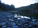 Redwood National Park (October 07, 2004 7:23 PM)