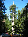 Redwood National Park (October 09, 2004 11:38 AM)