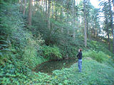 Siskiyou National Forest Pool (October 11, 2004 11:14 AM)