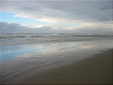 Oregon Dunes NRA (October 17, 2004 10:08 AM)
