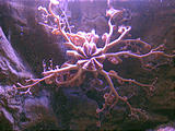 Newport Oregon Coast Aquarium (October 19, 2004 11:50 AM)