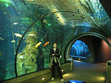 Newport Oregon Coast Aquarium Laura (October 19, 2004 2:30 PM)