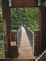 Drift Creek Falls Suspension Bridge (October 20, 2004 3:01 PM)
