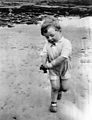Jim - Beach - Crab