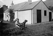 Jim - Dog - Dash - House
