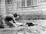 Eileen - Rip - Dog - House - The Cedars (date?)
