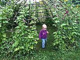 Oxbow Farm - Lyra Oxbow Farm - Lyra