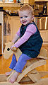 Rocking Horse Rocking Horse