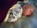 Lyra - Sleeping Lyra - Sleeping