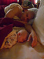 Lyra - Sleeping - Geoff Lyra - Sleeping - Geoff