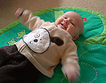 Lyra - Doggie Outfit Lyra - Doggie Outfit