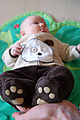 Lyra - Doggie Outfit Lyra - Doggie Outfit