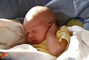 Lyra - Sleeping