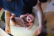 Lyra - Sleeping with Geoff