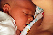 Milk Coma - Lyra