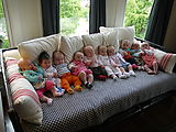 PEPS - Couch Full of Babies - Lyra (Photo by Wills)