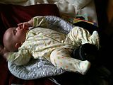 Lyra - Napping