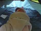 Lyra - Outdoor Nap in Her Tent