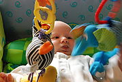 Lyra - Toys