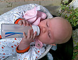 Lyra - Using Hands - Bottle