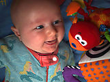 Lyra - Toys