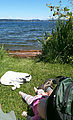 Lyra - Lake Washington - Beach