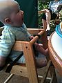 Lyra - In High Chair - Agua Verde